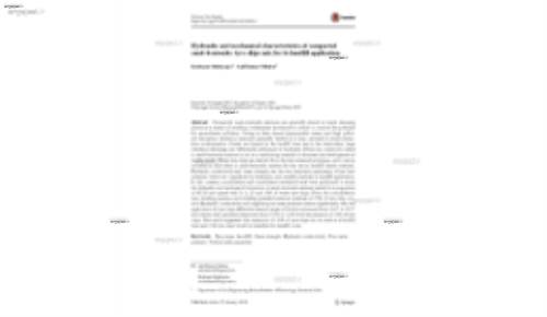 Hydraulic and mechanical characteristics of compacted sand–bentonite: tyre chips mix for its landfill application